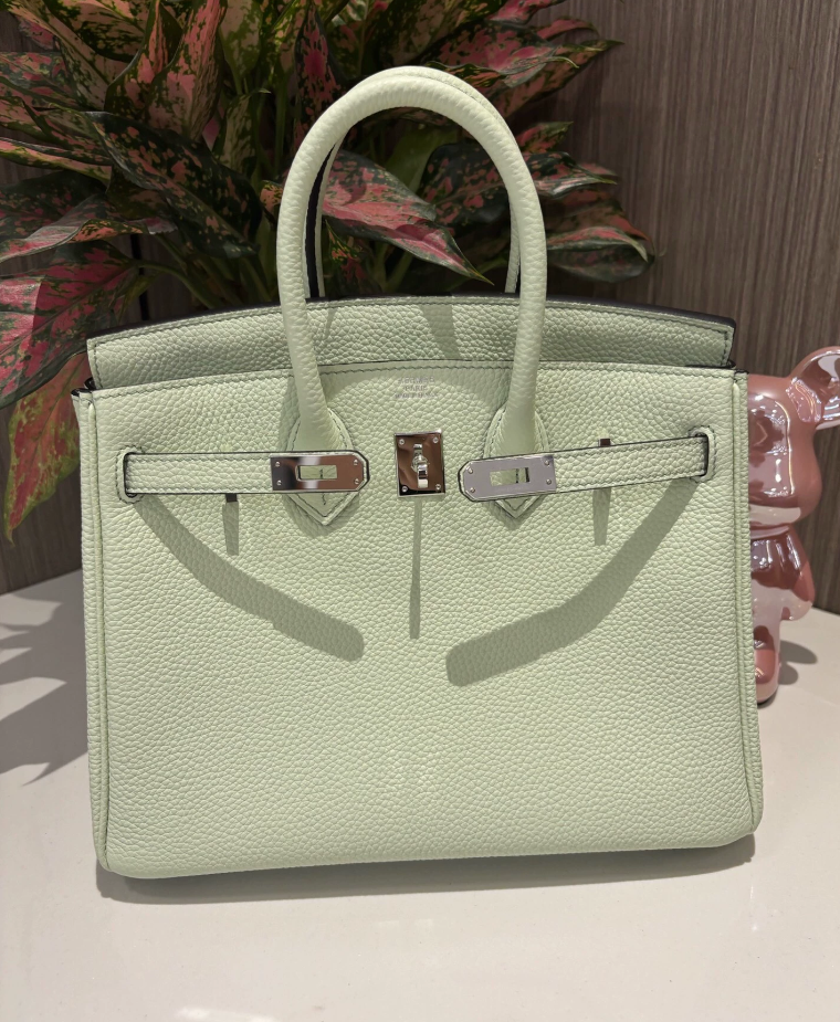 Hermes Birkin Sellier 25 Vert Fizz Epsom Palladium Hardware